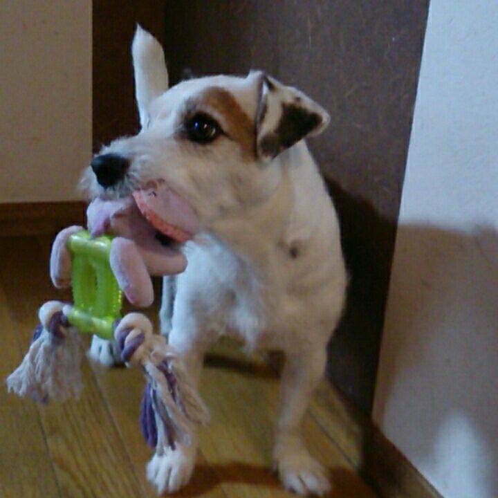 5300a6b3 4cf5 489b b675 792a5238a517