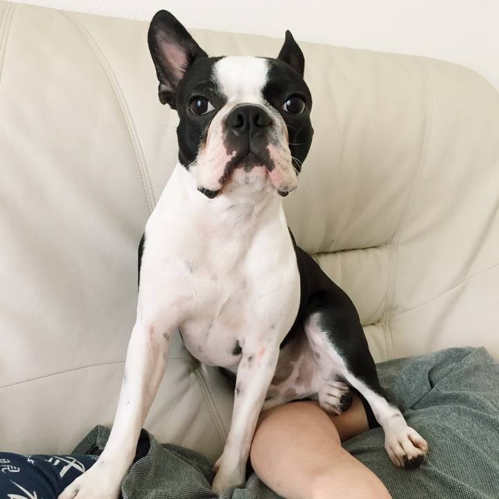 5301fa60 5002 4a9b 8430 76f65e1d2892