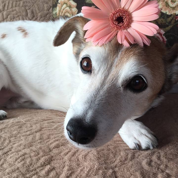 53029ec5 fa2d 47e2 9c56 ed9dda09e726