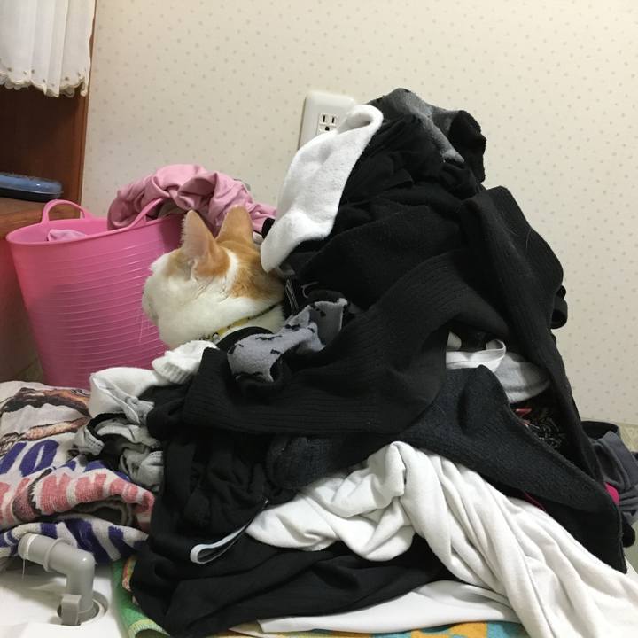 5302ce27 33c3 4074 8a95 da792d157c06