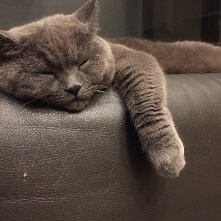 5302d4bf 63ec 4198 a3b3 8ecdfe10a939