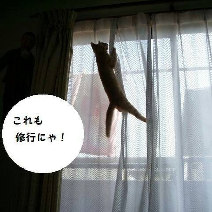 5303031f 3190 48d1 995e c7e59067118d