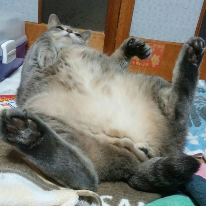 5303e8d4 9589 44e1 b2d2 fbcacfe55ec7