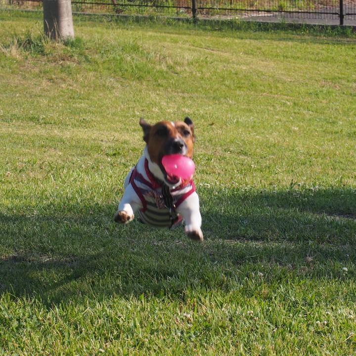 53043175 fca5 4ff8 893b ad450ff1fcfe