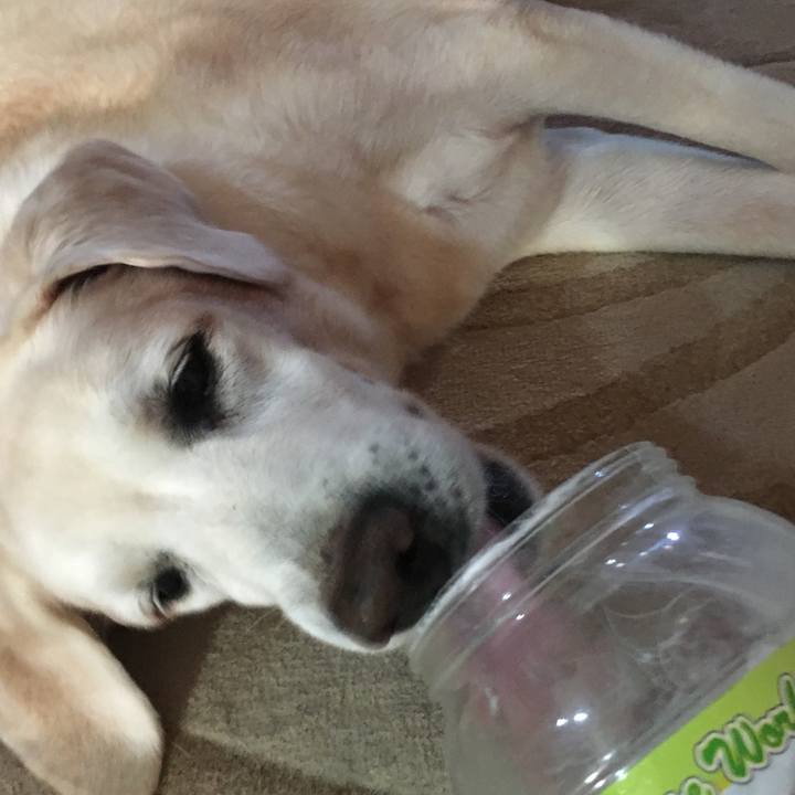 5304f532 eebd 4127 a9a8 d06ae9d04437