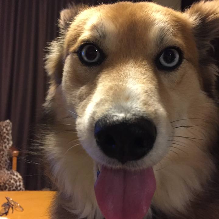 53054493 e718 4c6a bab9 e0b46964e511