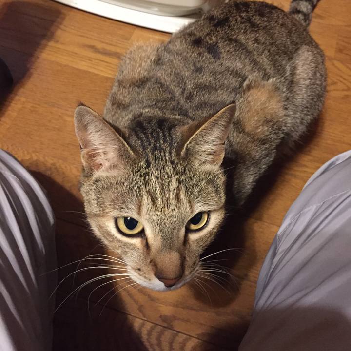 5305c30d 021f 44f9 8df9 8e4e4cf4003d