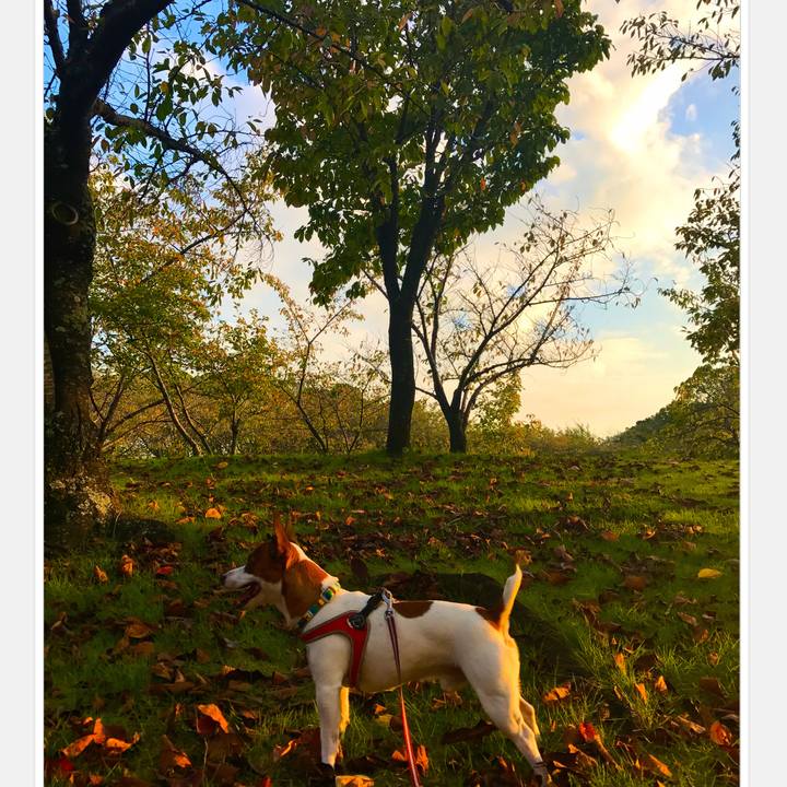 53060c11 e0af 4d18 8570 793e964c0f1c