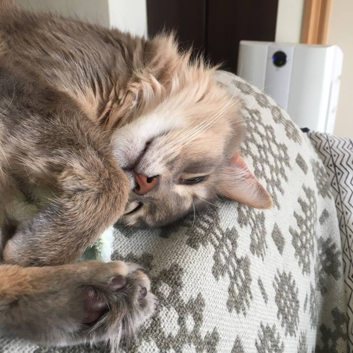 53062571 77fd 4d7d ba14 6a9f8f622cb7