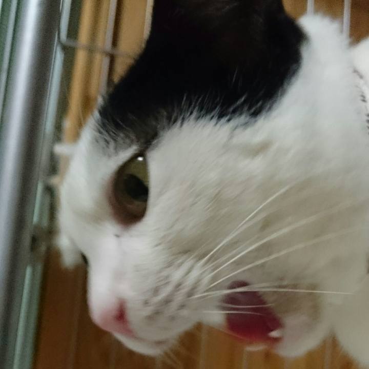 5306a2b3 ce36 442c b713 5df61f0fd784