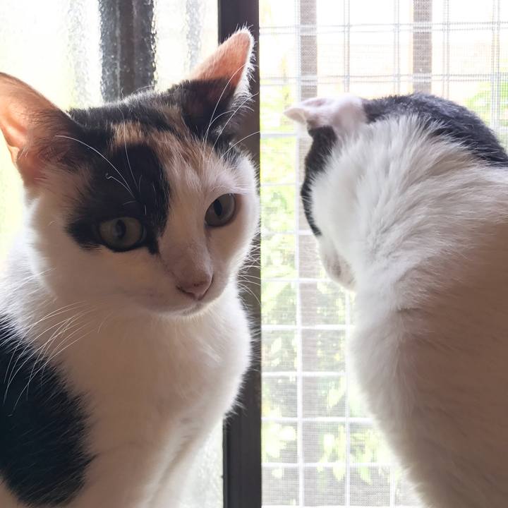 5306d499 9a0d 4644 af65 4db06eaf82ff