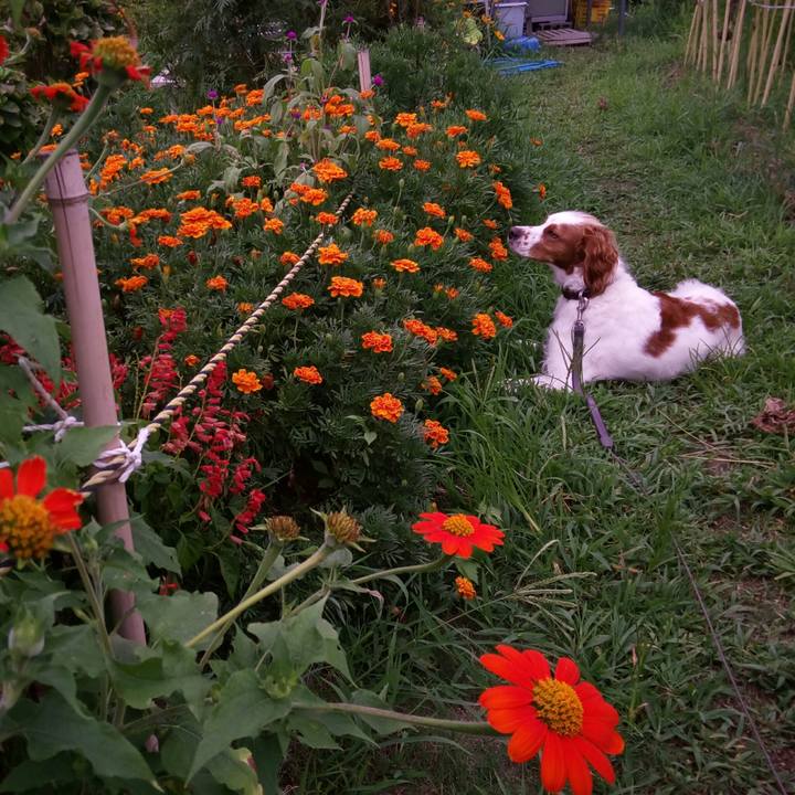 5308418c ac5b 4776 9a7d 465df16bec83