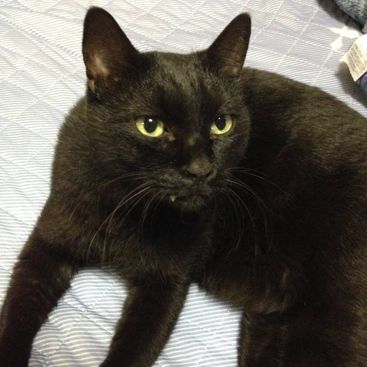 530843cf 8ed5 4ff3 addf f0dbddebb57b