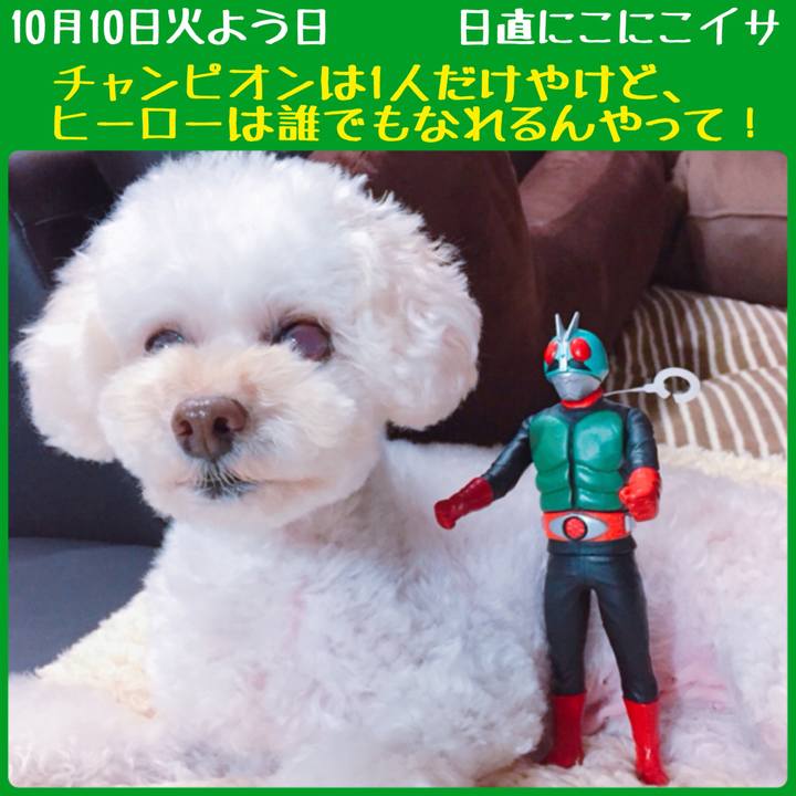 5308bfc3 9f86 4c7e 8f3e 8cd5a065fa6d