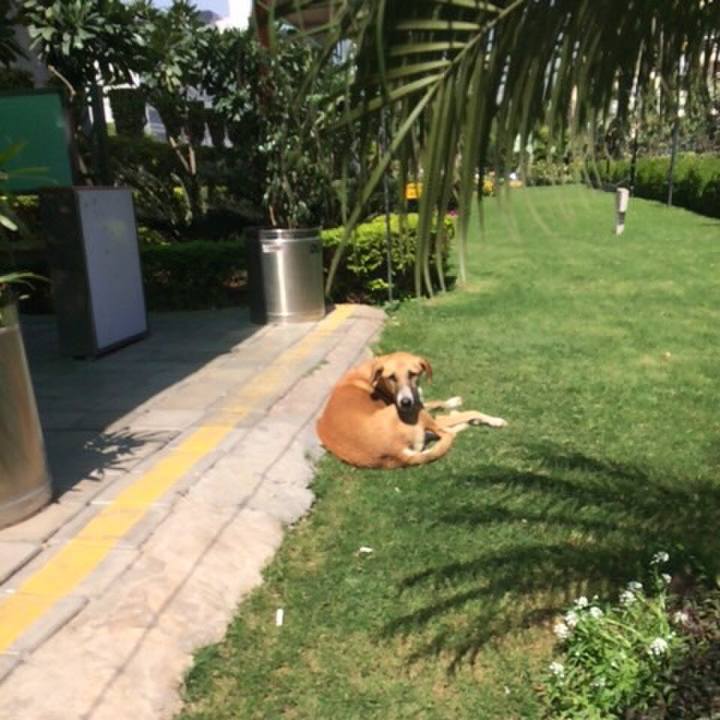 5308e114 b13d 493f ba98 893ba5a89aa0