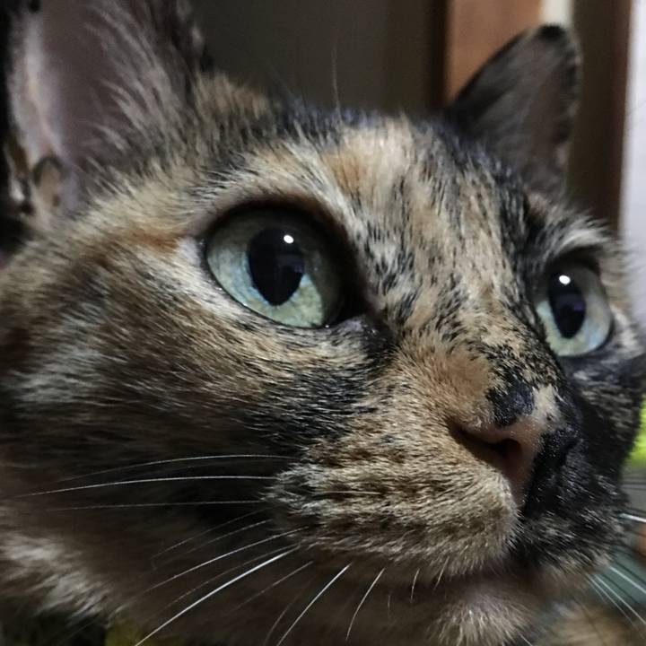 53092757 8804 422f 8926 07e807307fec