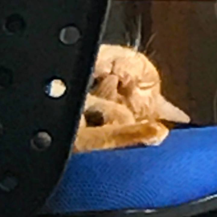 5309972a 07c9 4859 a1b2 39ccdf36925a