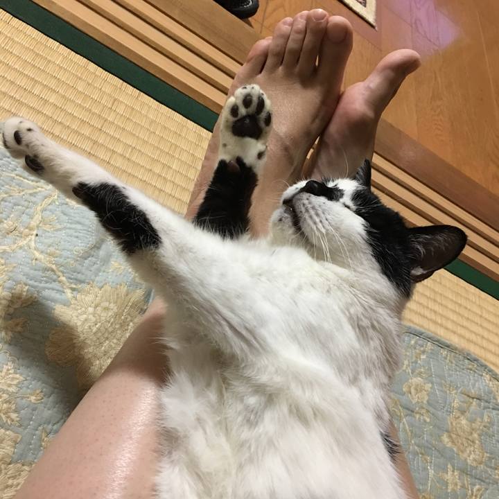 530a4267 fb13 4c20 a146 516d8618fcef