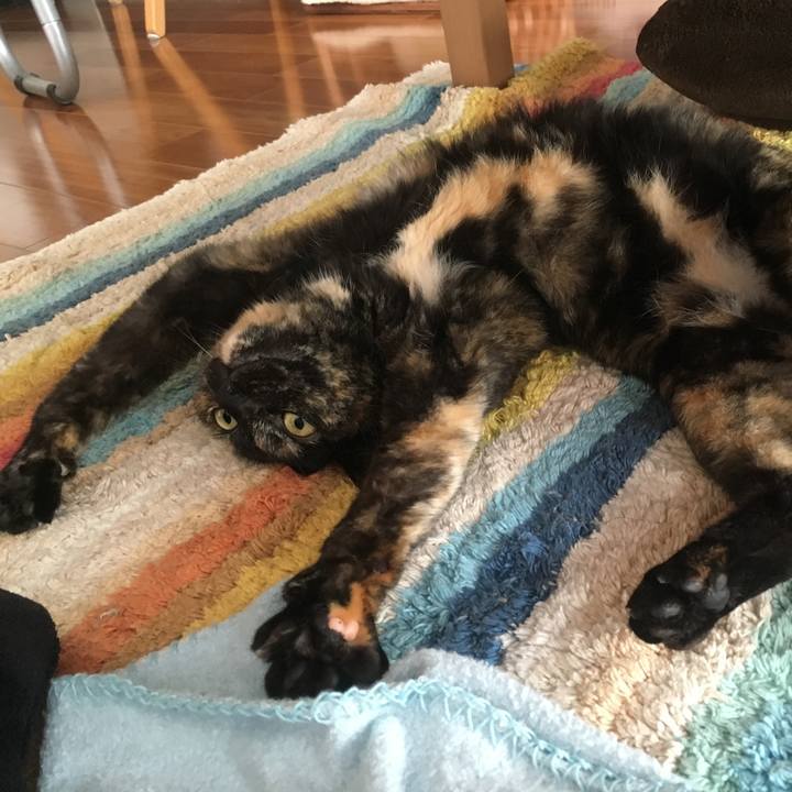 530a6d77 f556 44a5 821a 315dd0c9ca39