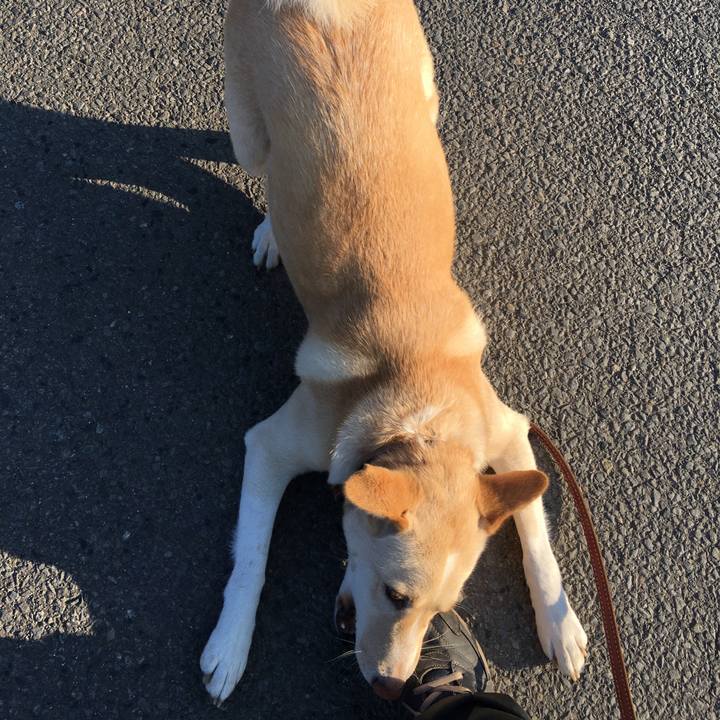 530af4ba ddd6 47e8 a120 12a6d1d7ce7c