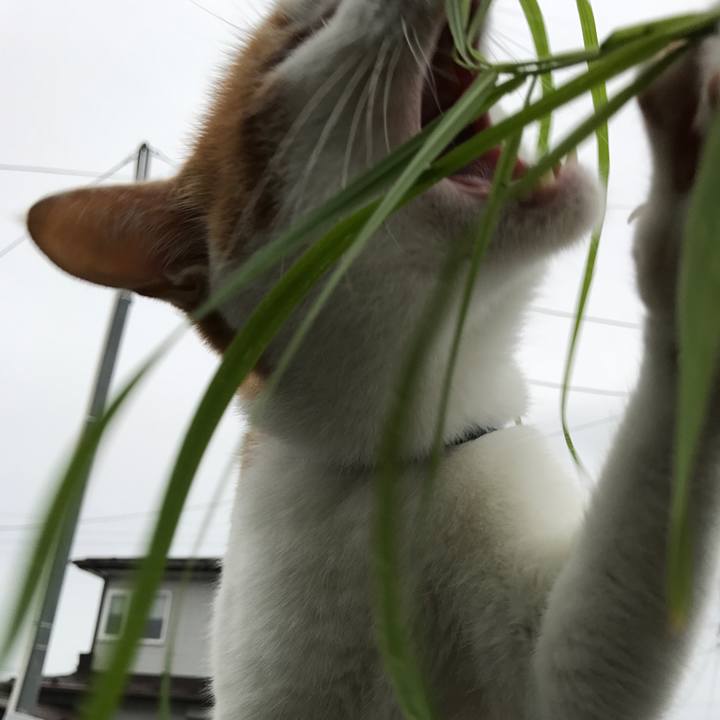 530b3421 987c 462a 93a1 a27c1f01b5eb