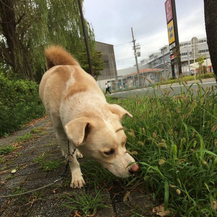 530b6381 bedf 4ec7 a135 ba81e6ea79a0