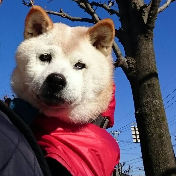 530b96f2 5e93 4c0f 9281 851a392aa54d