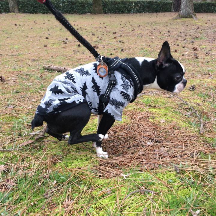 530bc3b9 9052 409d 85ae 51bba8982fb0