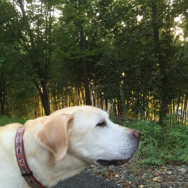 530c3e87 0f88 4bd7 8f52 c4b8a5b14bea