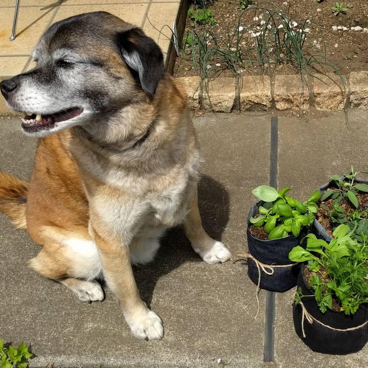 530c5fb2 3829 4c79 b5d4 968e27cb5167