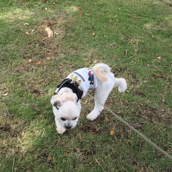 530c63a7 048f 4276 ab29 035b69a3b652