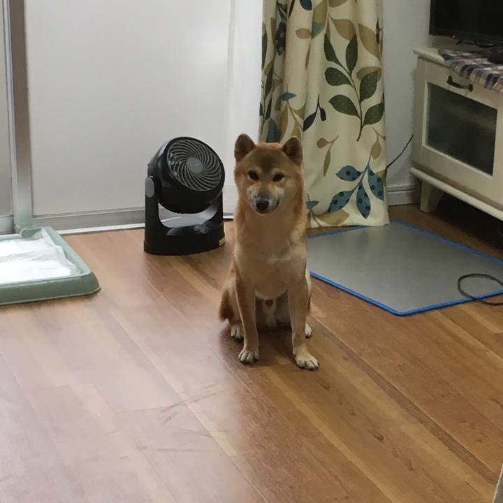 530d01dc 1a6e 4a83 8d6a 41d2cba7690a