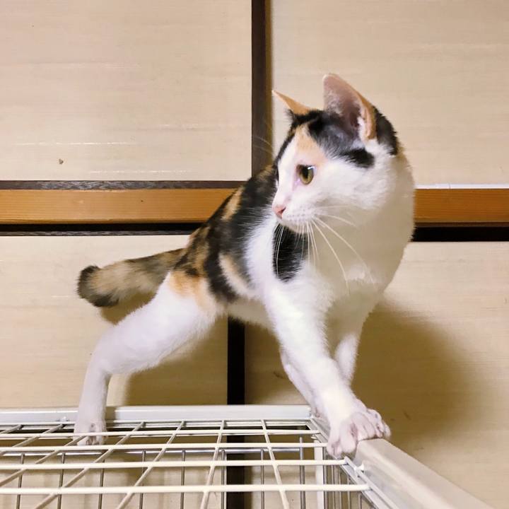 530d16da 7405 4a02 8be6 1b3768c42f46