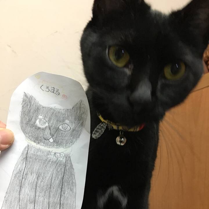 530d5049 e552 46ef 8067 41c07452b6cc