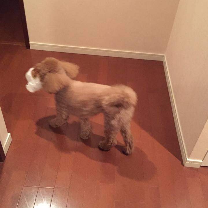 530e3430 27d4 42f5 9055 644ac1aab811