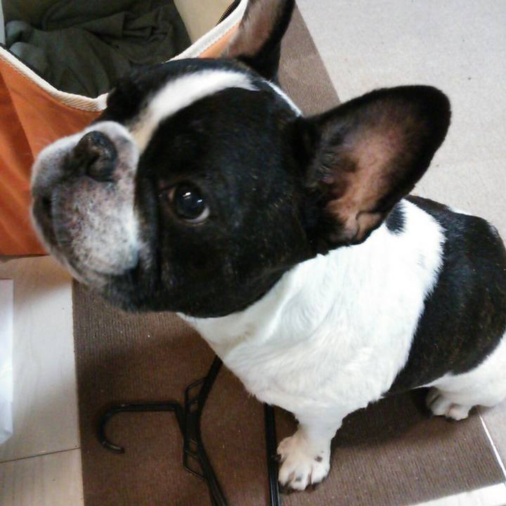 530ef298 d1cf 4f22 a5cd db0f7f069869