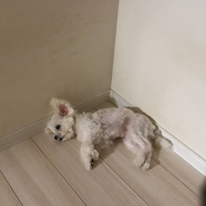 530efd4a 0a1a 4ca1 b095 0fd0e152d99c