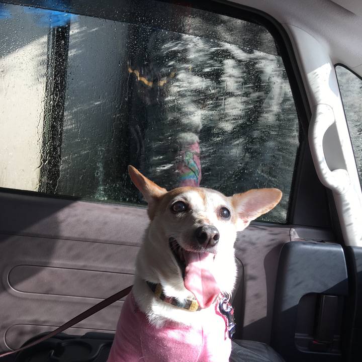 530f8df3 4aa7 46d0 a6b6 f5250058ad8a