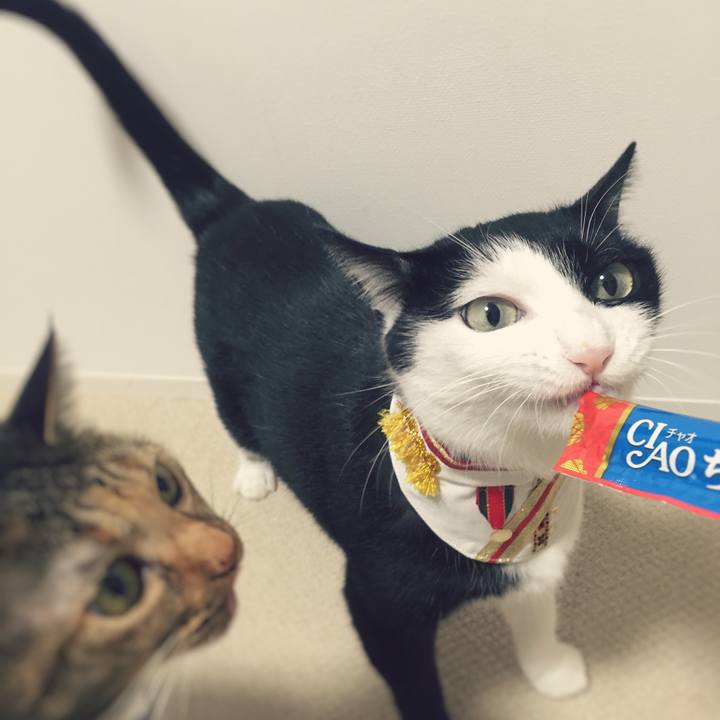 530f9ff2 6038 4f4c 86c6 62862bd89189