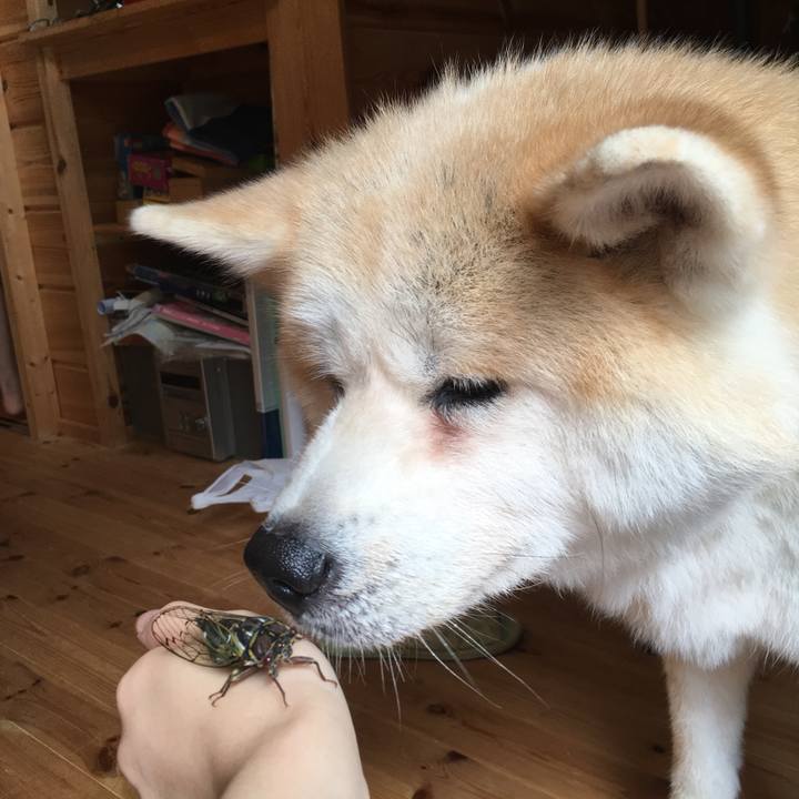 5310e5c5 db96 413d 8b52 260b2f3de10f