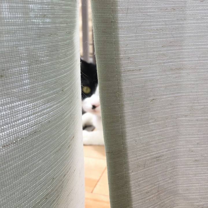 5311a7bc 2118 40e0 8fe5 d22b3fa7cf2e