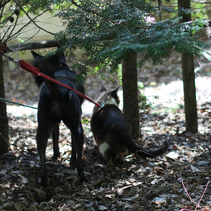 531328f5 844f 4c68 bd19 13b3fe802299