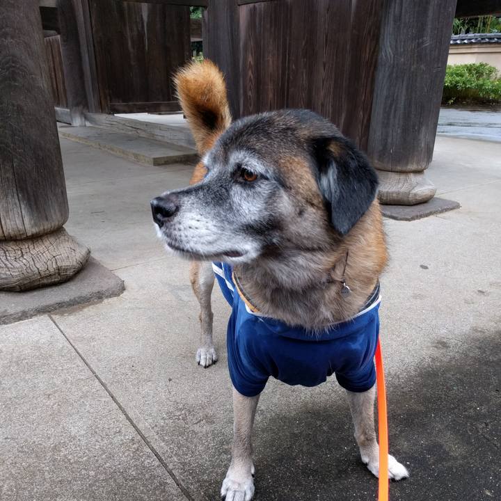 53147508 3051 4bad a572 16ddc220e478