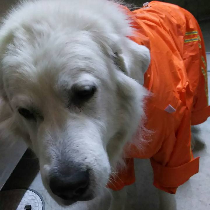 5314cc55 6ead 4bc7 9e90 3444d5168649