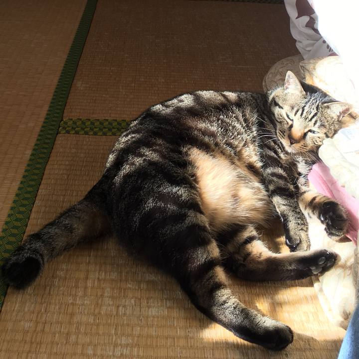 531502f0 d78b 4bdd bf1c c655490261cf