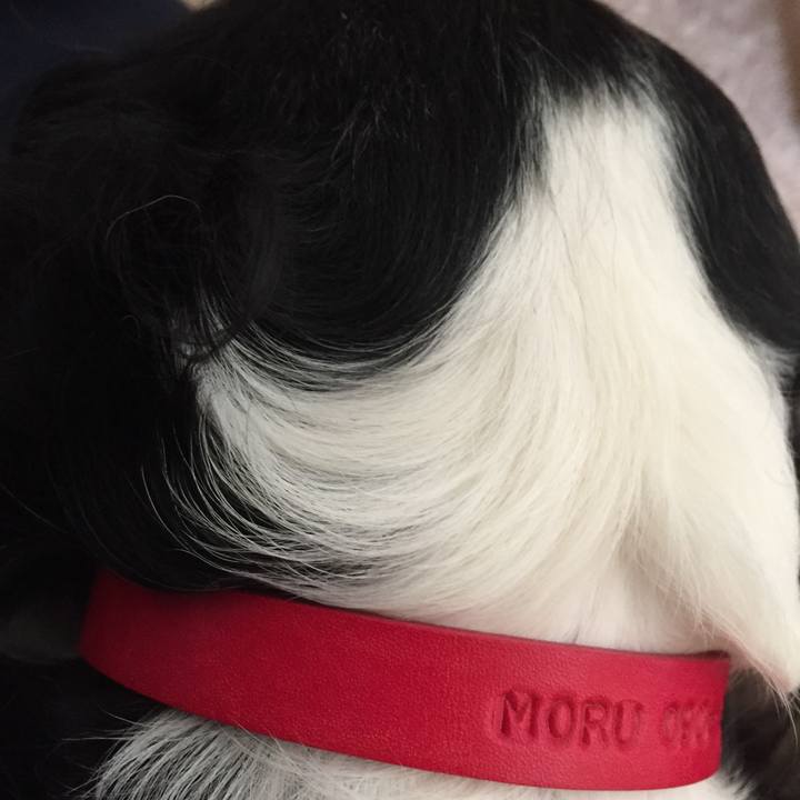 5315367b e78e 4626 8c2b 23ccb1bdf16b