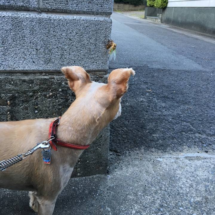 53159daf 4353 4396 86ff e777f3aadedc