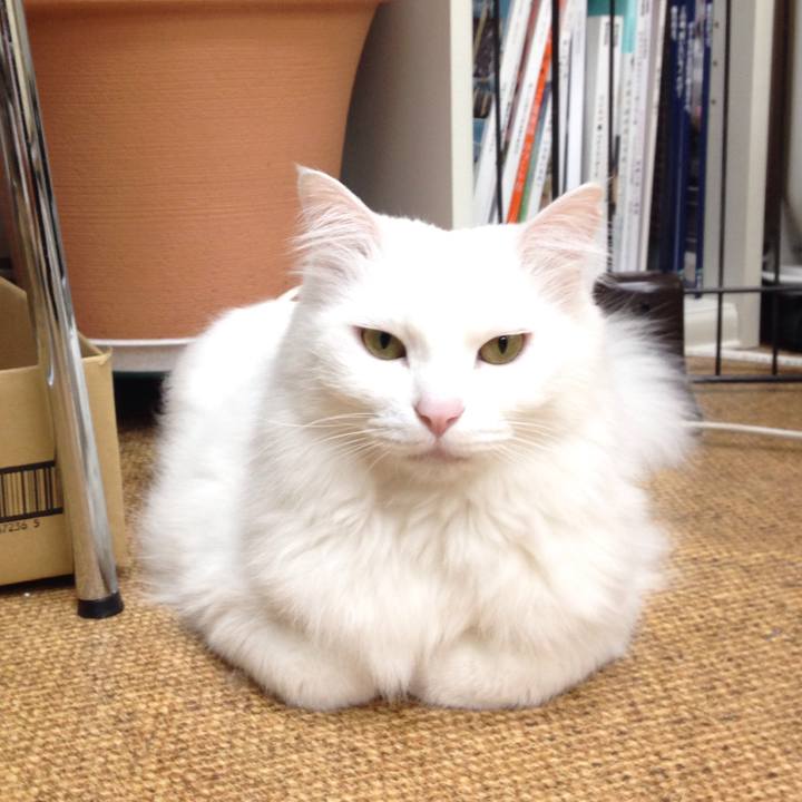 5315e85c cca9 4051 a476 89a9c24536df