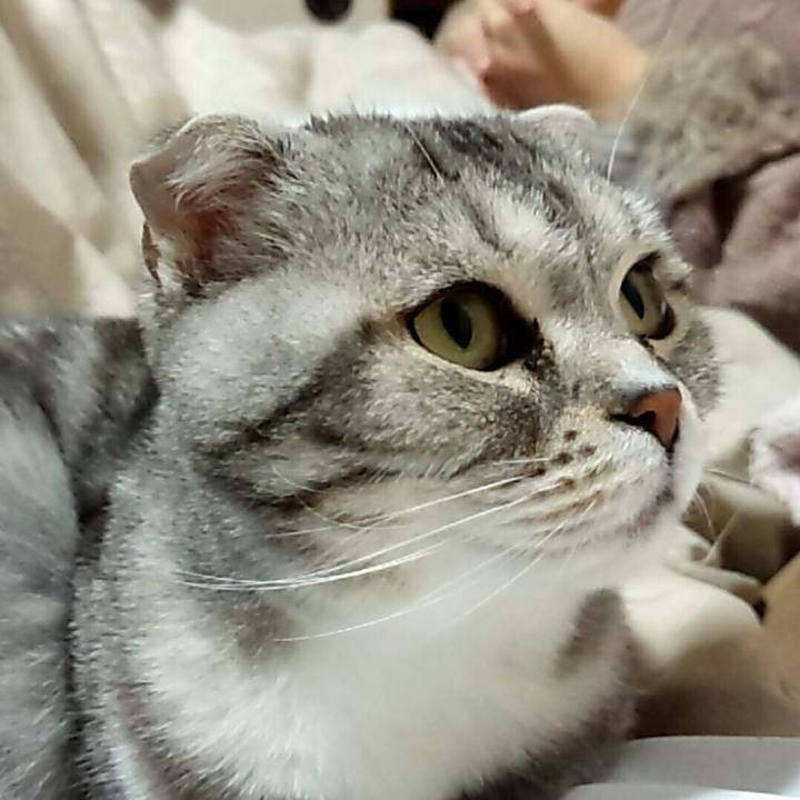 5316e1df 20eb 4eba a3e7 19bd53f33cc8