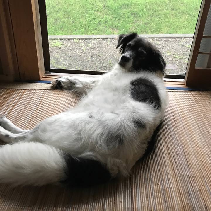 53176011 7e3a 4eb2 a7a3 f8a348cf42ac